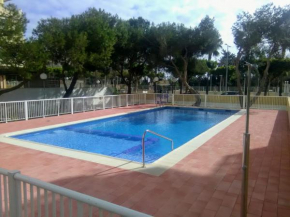 Malvarrosa, 8-54